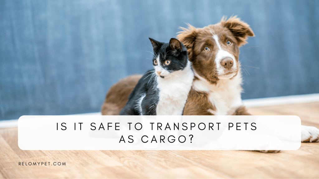 Is it safe to transport pets as cargo?