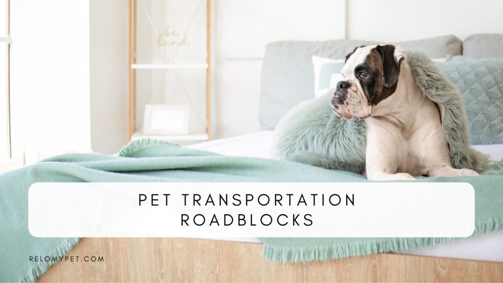 Pet transportation roadblocks.