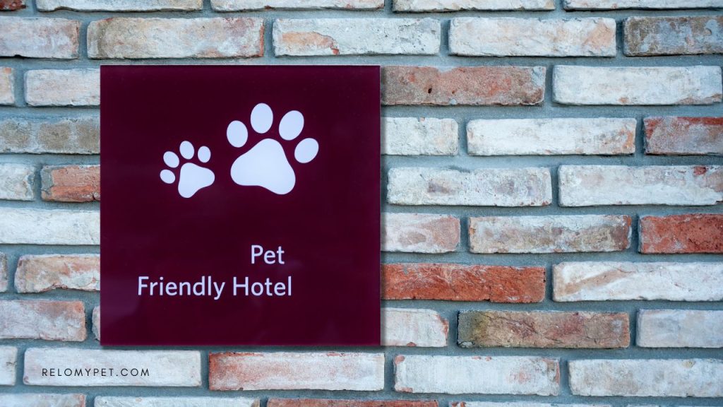 Find pet friendly accommodations