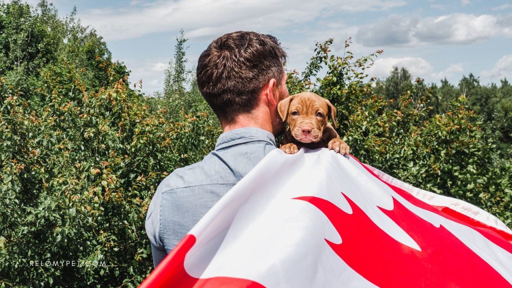Pet relocation for Canadian Armed Forces