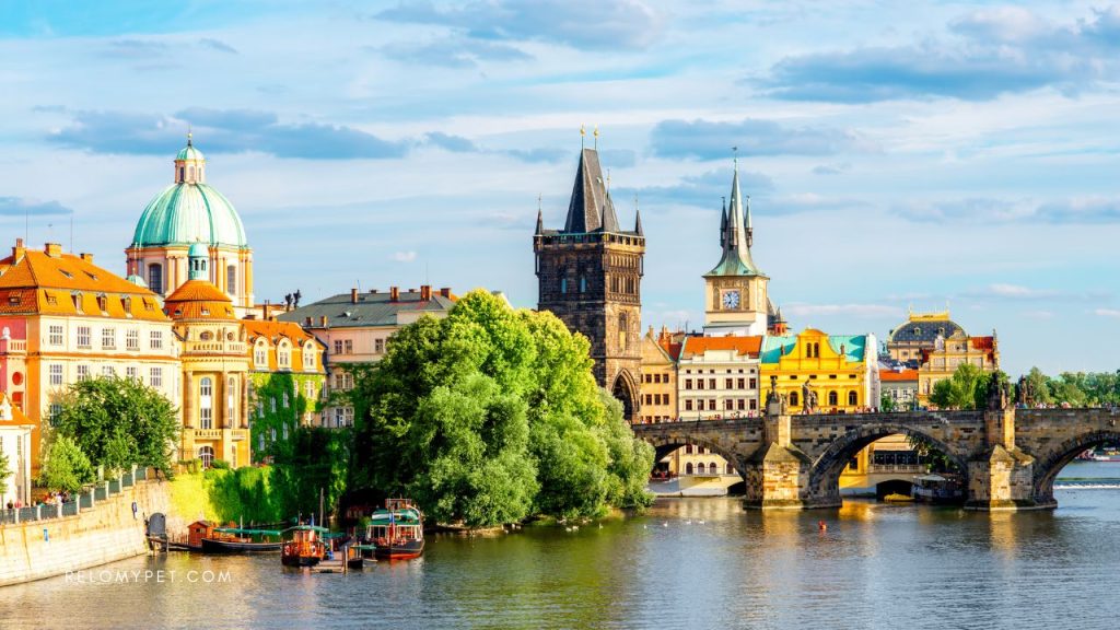 9th pet-friendly city in the world is Prague, Czech Republic