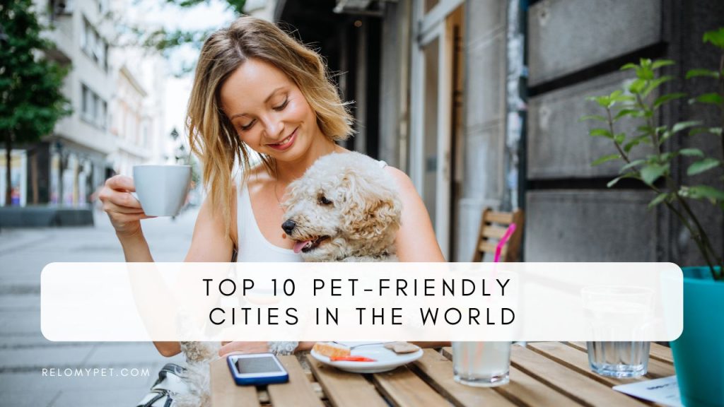 Top 10 pet-friendly cities in the world