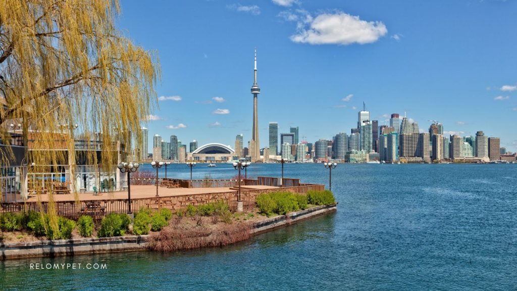 Toronto, Canada is number 1 pet-friendly city