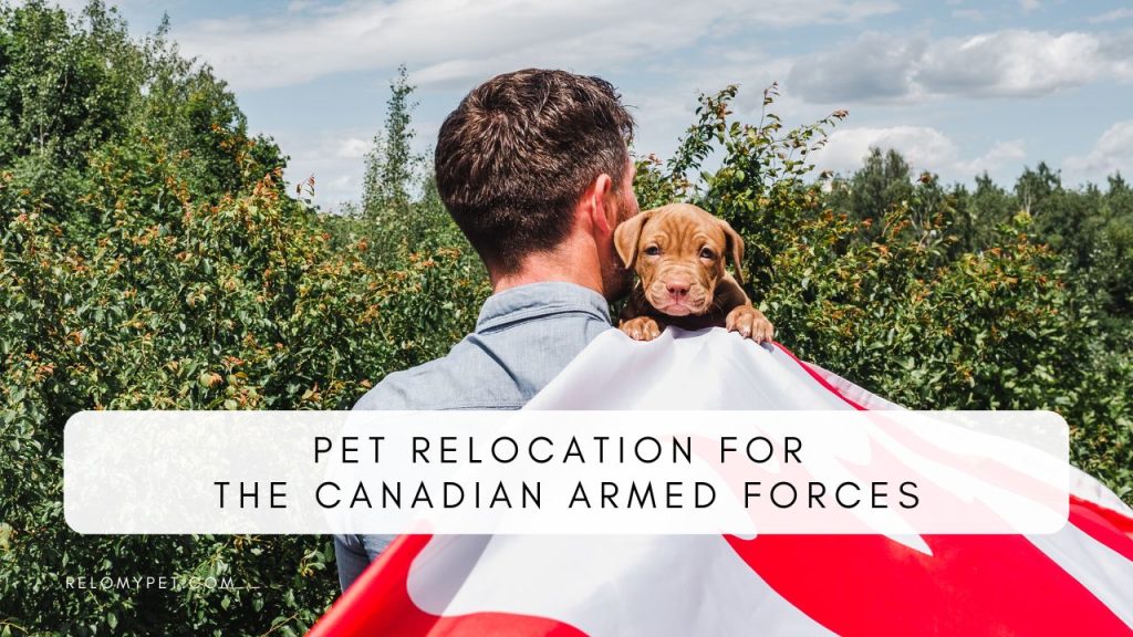 PET RELOCATION FOR THE CANADIAN ARMED FORCES