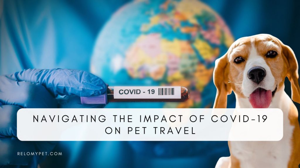 Impact of COVID-19 on pet travel