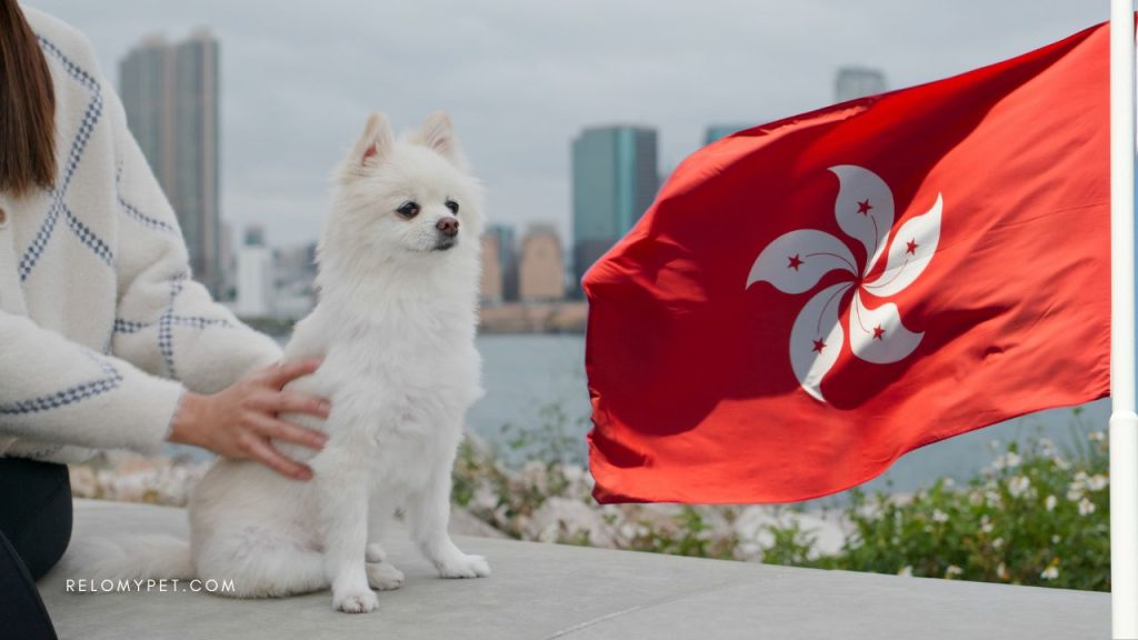 Dog breeds restricted in Hong Kong