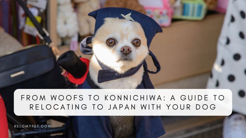 Moving to Japan with a Dog