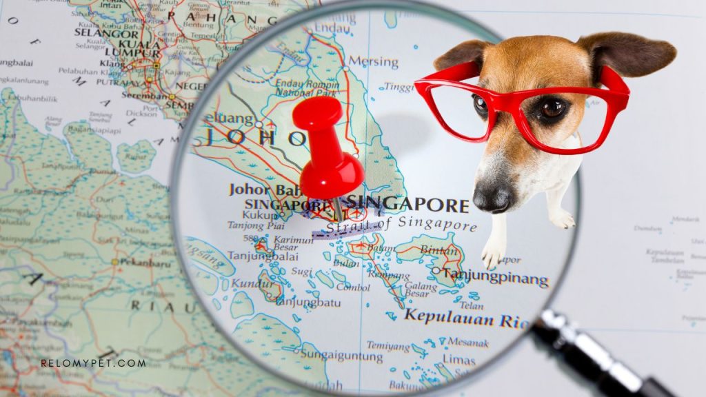 Dog breeds banned in Singapore