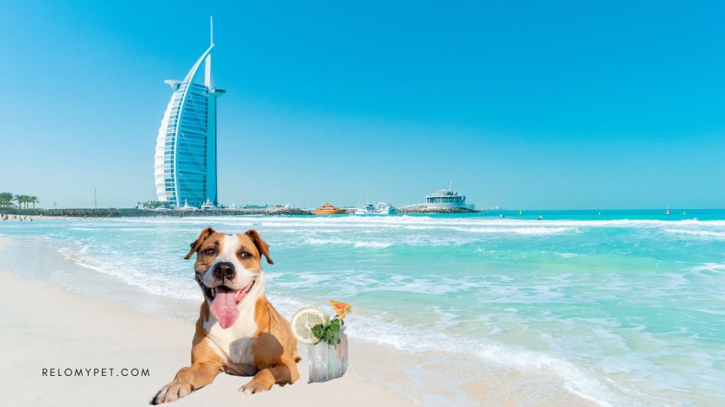 What dog breeds are banned in United Arab Emirates?