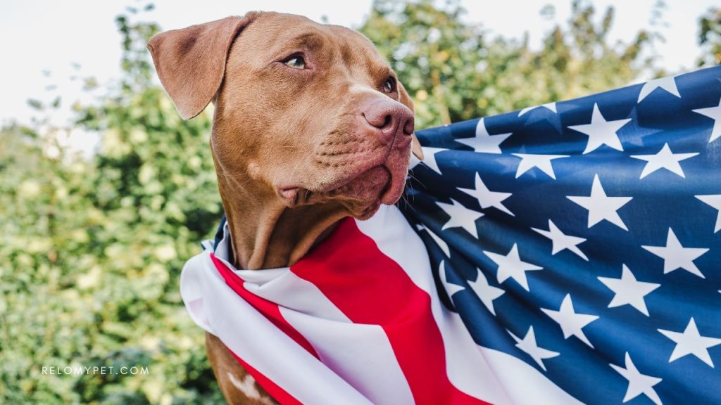 What dog breeds are prohibited in the United States