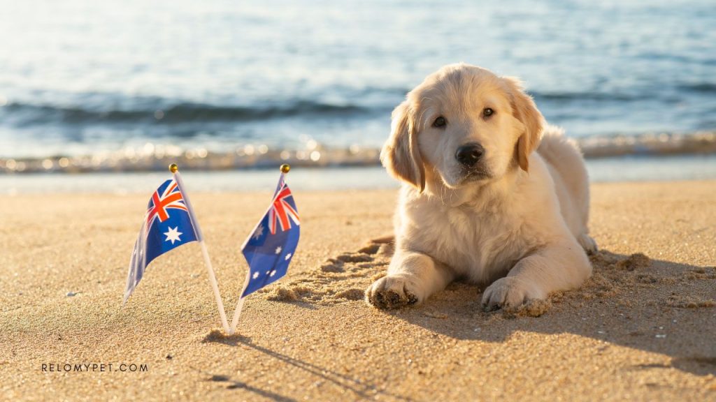 What dog breeds are banned in Australia?