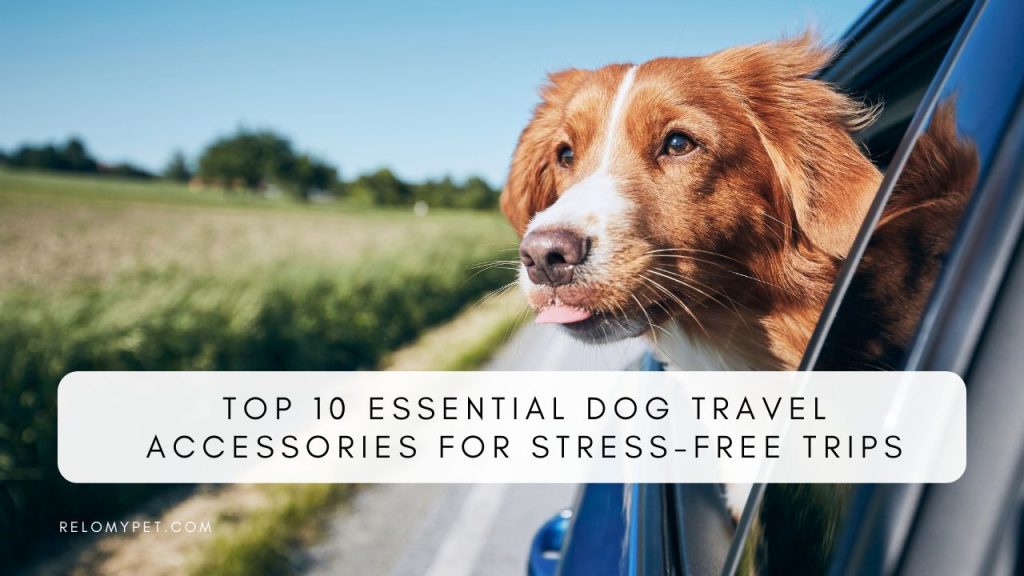 Top 10 Essential Dog Travel Accessories for Stress-Free Trips