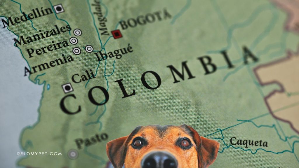 What dog breeds are banned in Colombia?