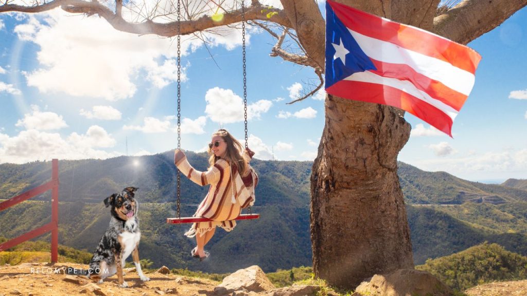 What dog breeds are banned in Puerto Rico?