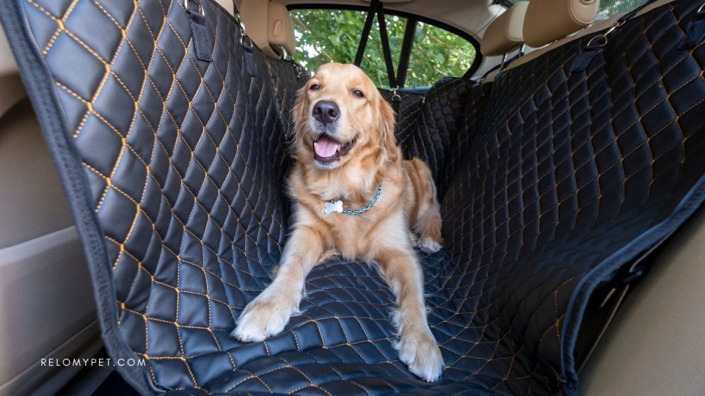 Dog travel accessories: car seat cover