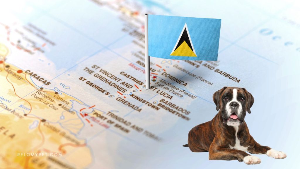 What dog breeds are banned in St. Lucia?