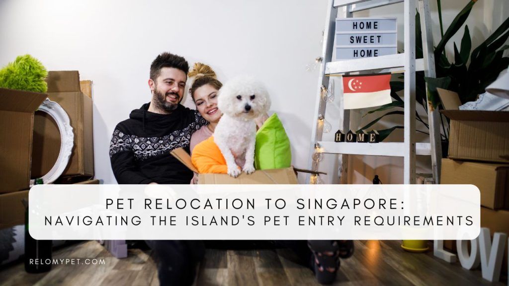 Pet relocation to Singapore