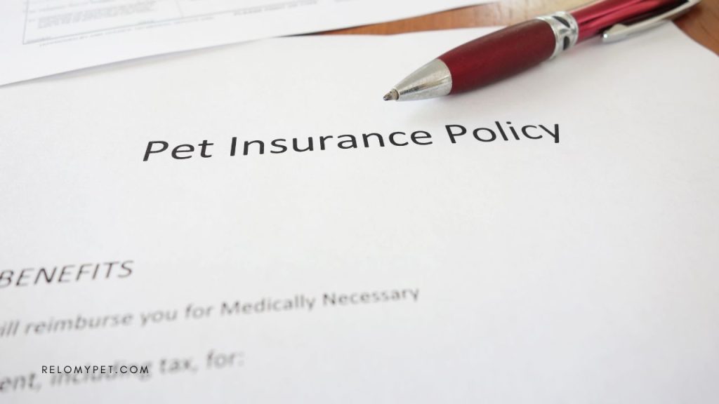 Understanding Coverage and Choosing the Right Policy