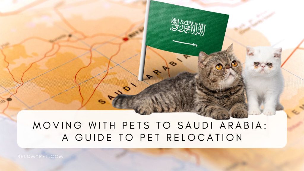 Moving with pets to Saudi Arabia: the guide to pet relocation. Featured image