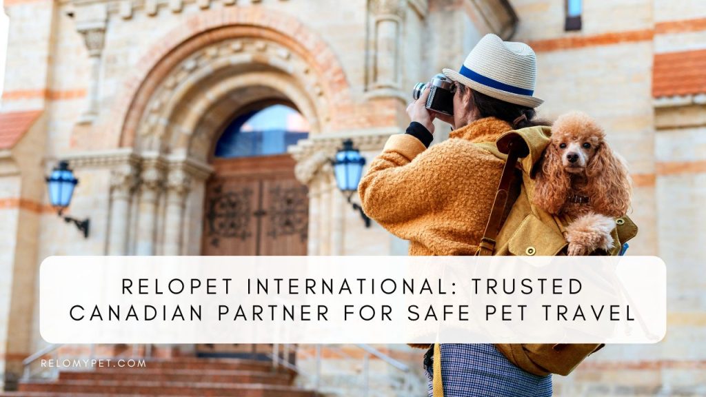 Relopet International: Trusted Canadian Partner for Safe Pet Shipping. Featured Image