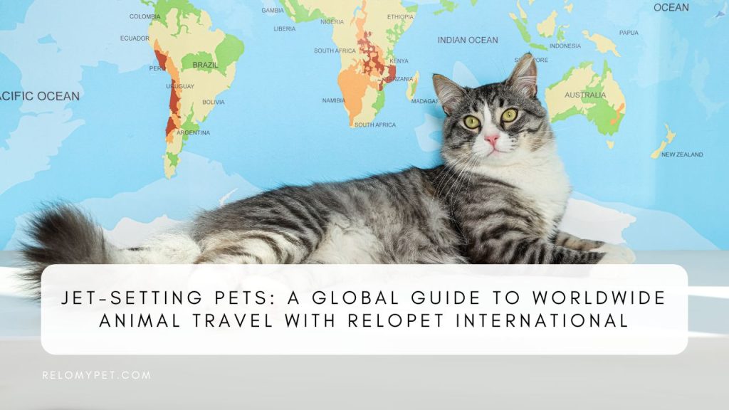 Jet-Setting Pets: A Global Guide to Worldwide Animal Travel with Relopet International. Featured image