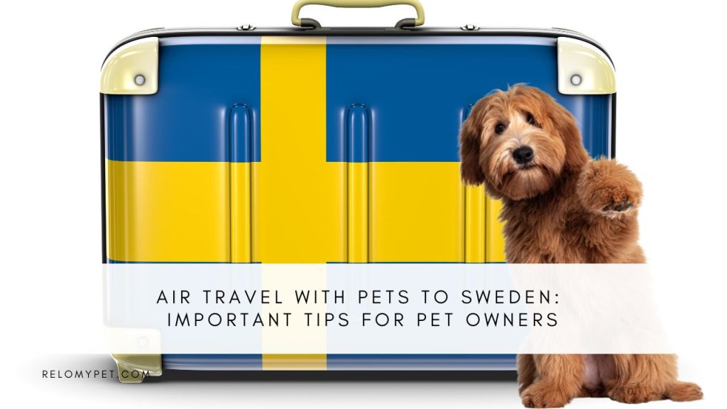 Air Travel with Pets to Sweden: Important Tips for Pet Owners. Featured Image