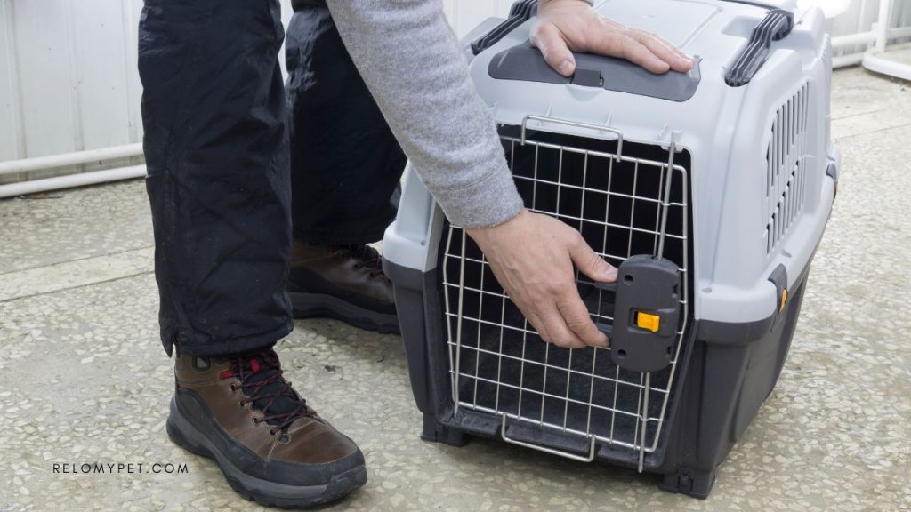 Airline-approved pet carriers - Sturdy and secure