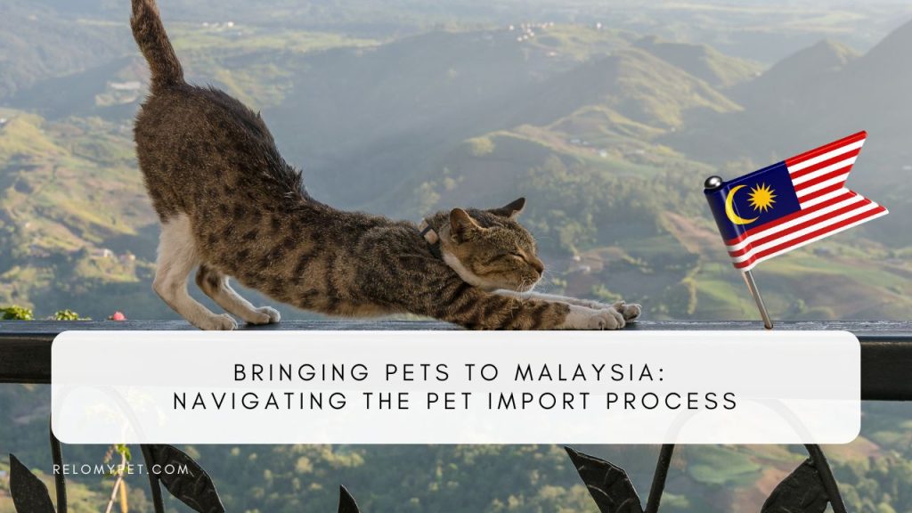 Bringing Pets to Malaysia: Navigating the Pet Import Process. Featured Image