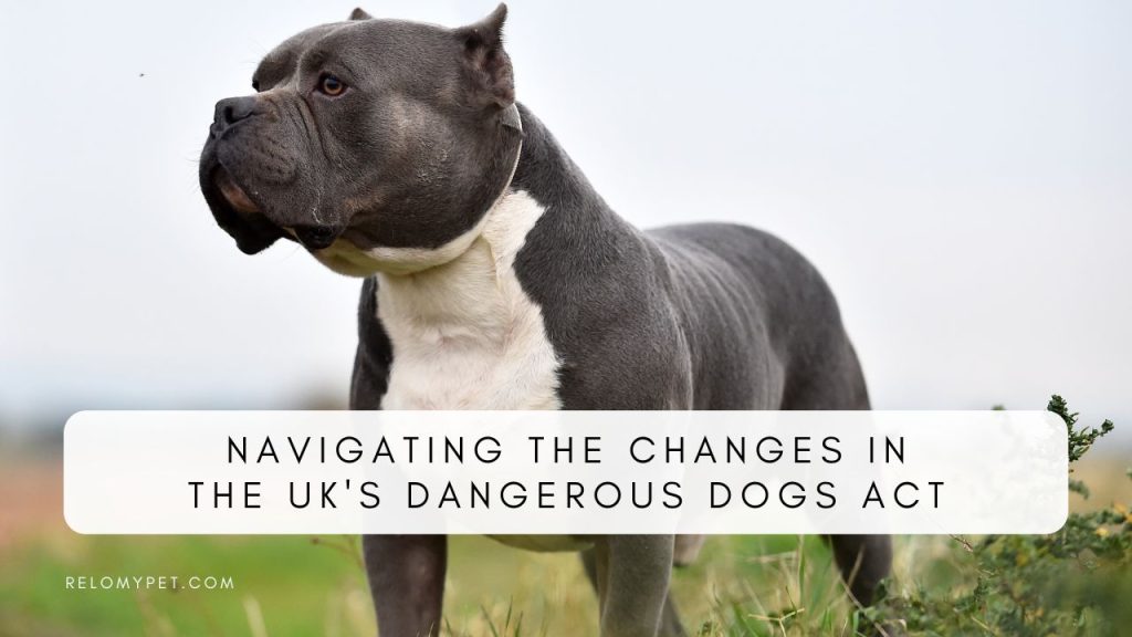 Dangerous Dogs Act update in the UK. Featured Image