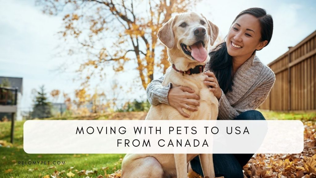 Moving with pets to USA from Canada. Featured Image