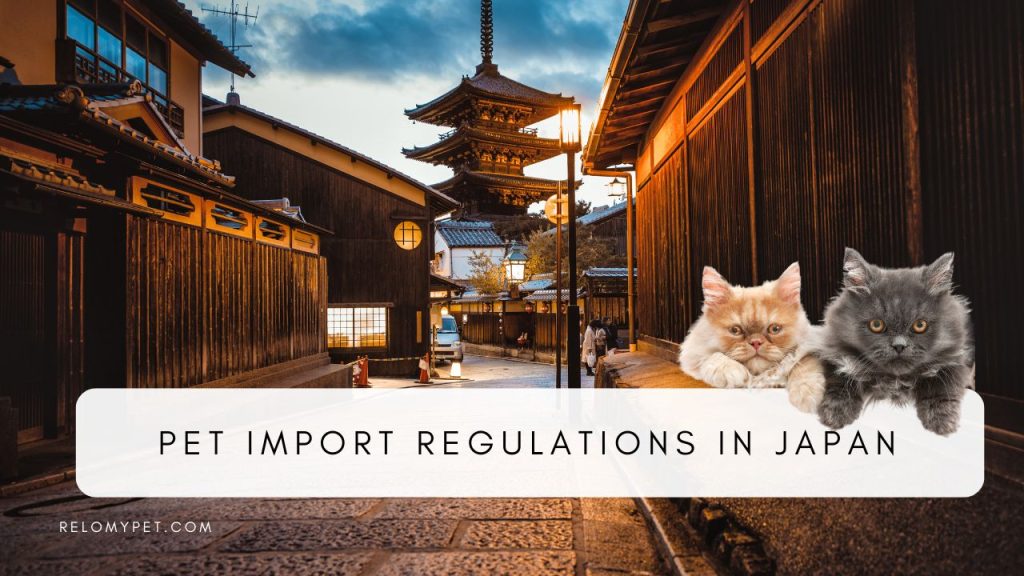 Pet Import Regulations in Japan. Featured Image