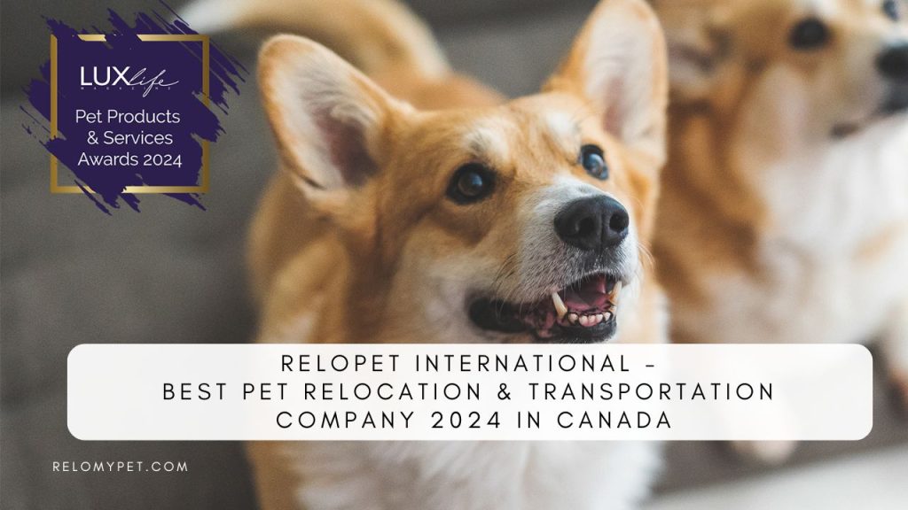 Best Pet Relocation & Transportation Company 2024 in Canada. Featured Image