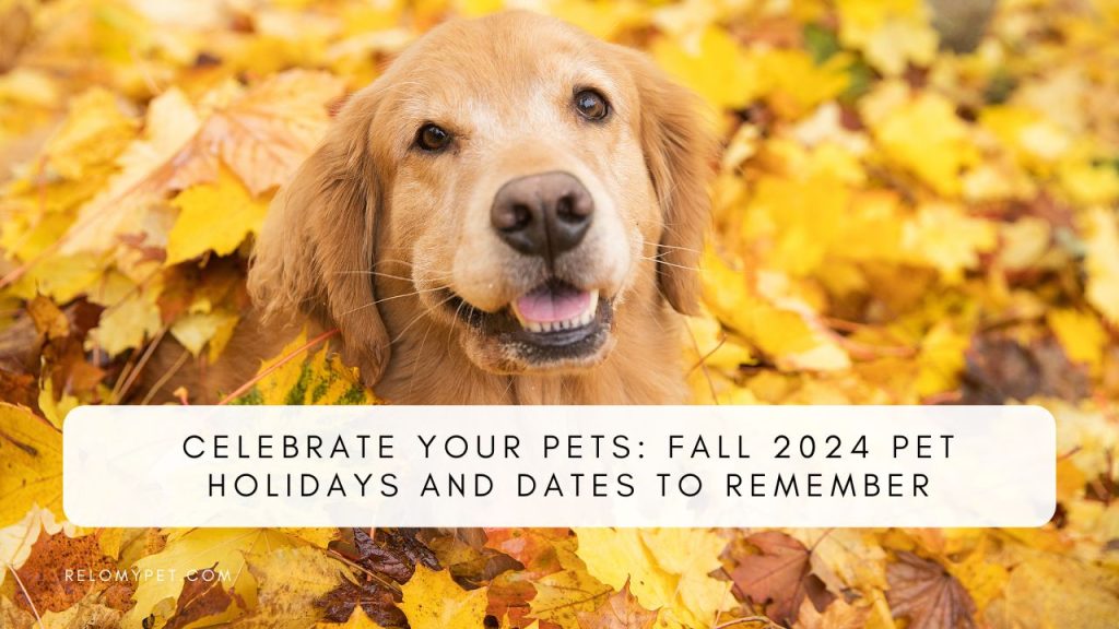 Fall 2024 Pet Holidays and Dates to Remember. Featured Image