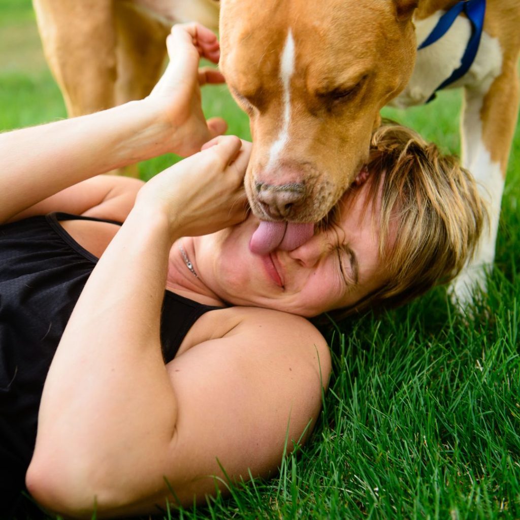 November 16: National Slobber Appreciation Day