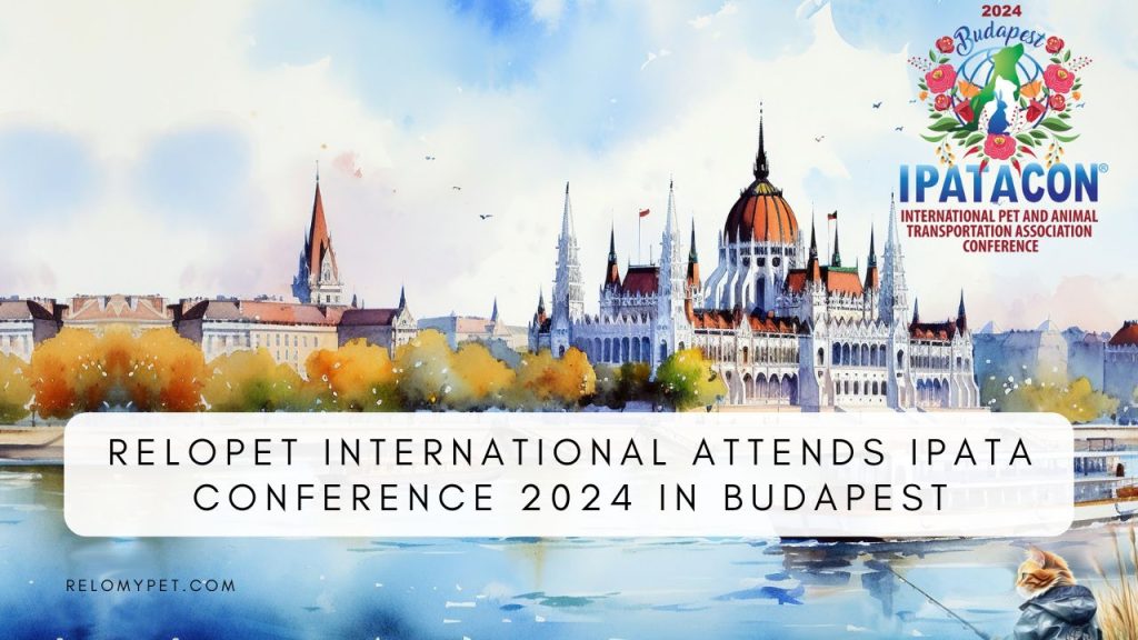 Relopet International Attends IPATA Conference 2024 in Budapest. Featured Image