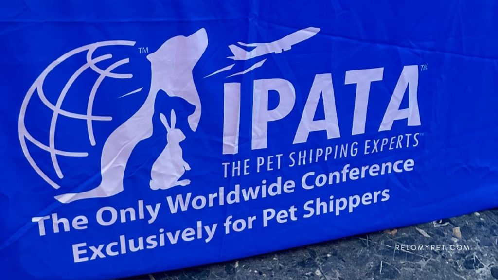 Highlights from the IPATA Conference 2024 in Budapest