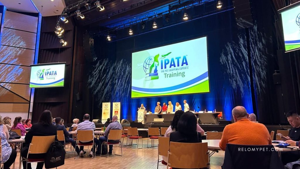 IPATA Training Sessions