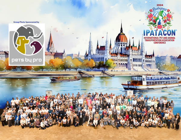 Group photo of the attendees of the IPATA Conference 2024 in Budapest