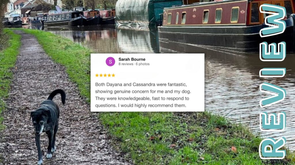 Relopet International five-star review