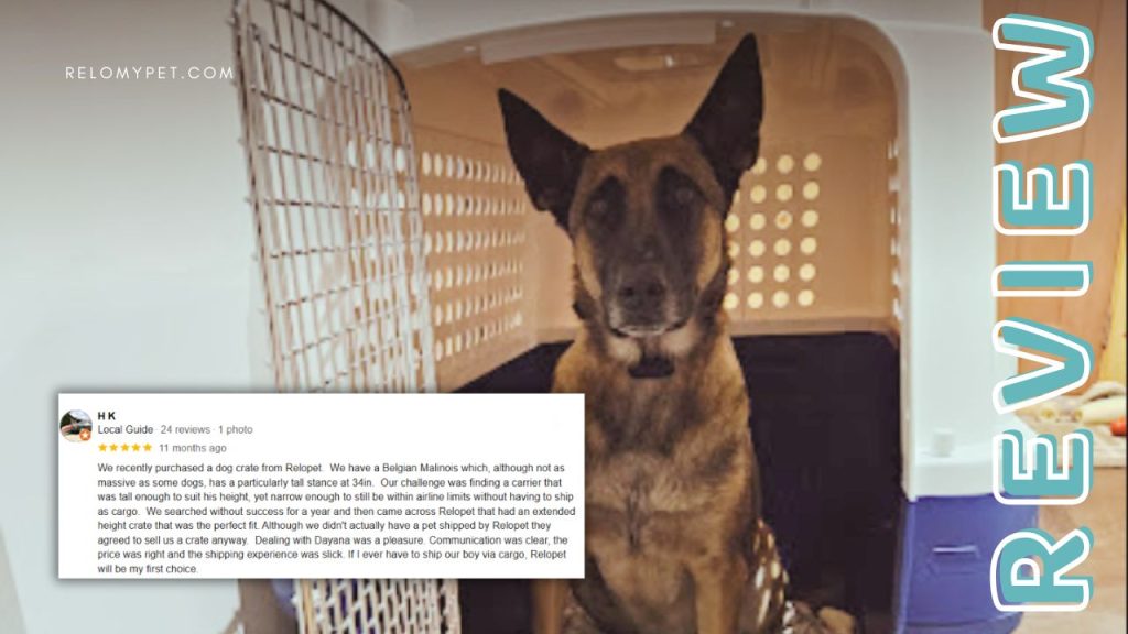 Relopet International five-star review