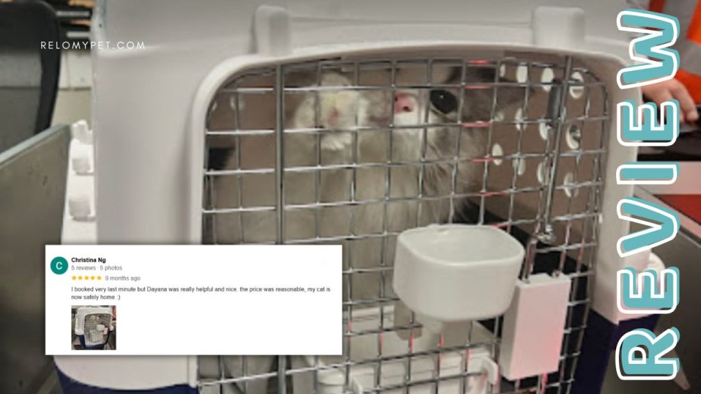 Relopet International five-star review