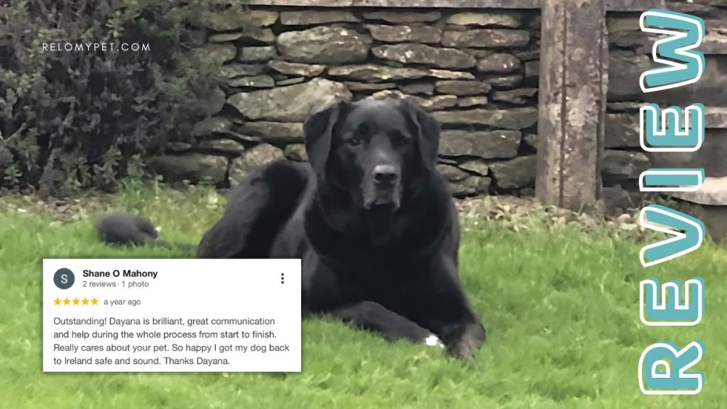 Relopet International five-star review