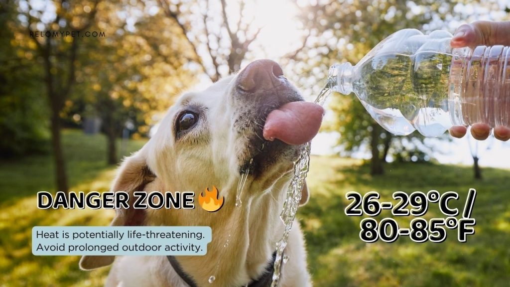 26-29C Danger Zone