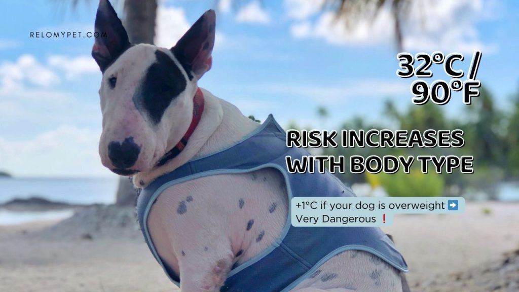 32C Risk