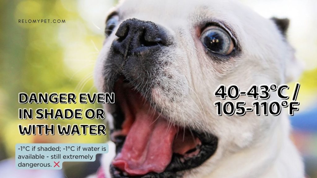 40-43C Danger, too hot