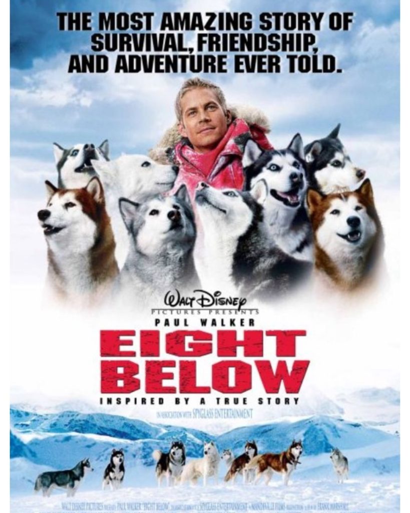 Eight Below Movie Poster