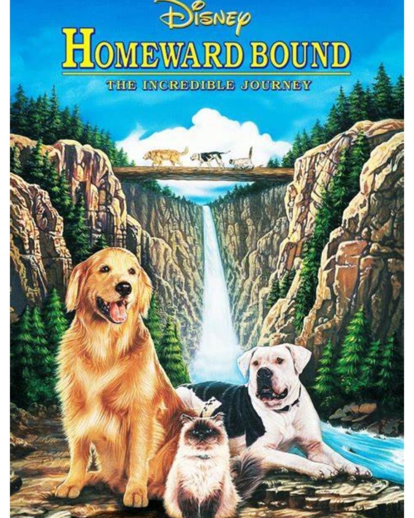 Homeward Bound Movie Poster