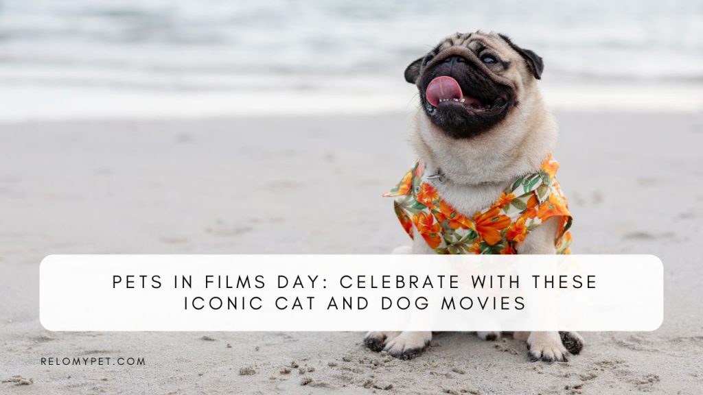 Pets-in-Films-Day-Celebrate-with-These-Iconic-Cat-and-Dog-Movies.-Featured-Image.