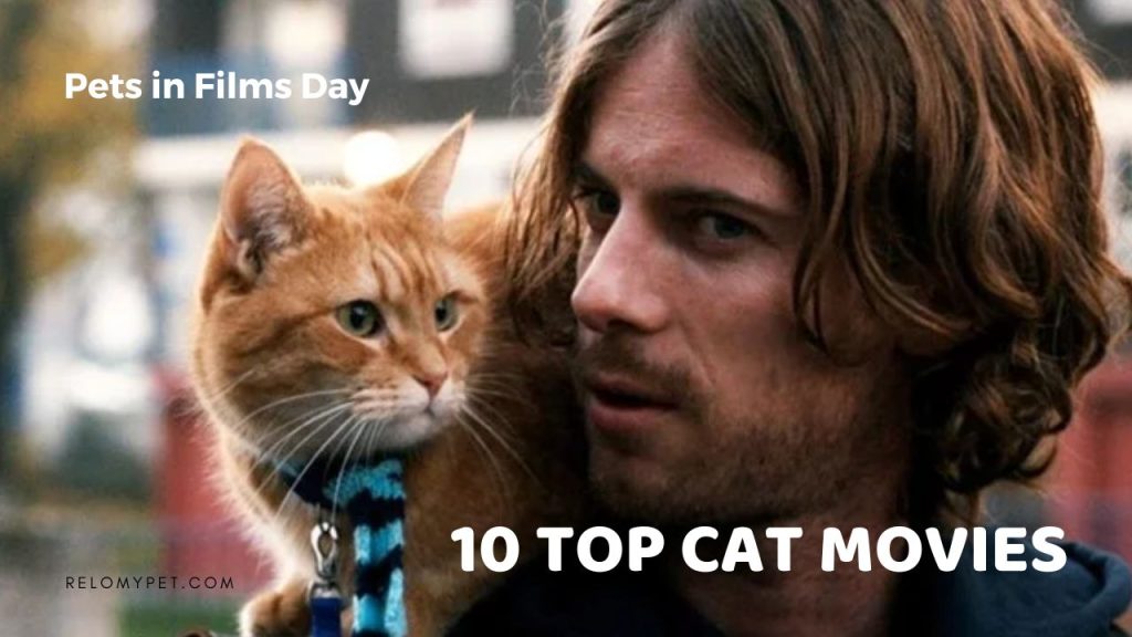 Top Ten Cat Movies