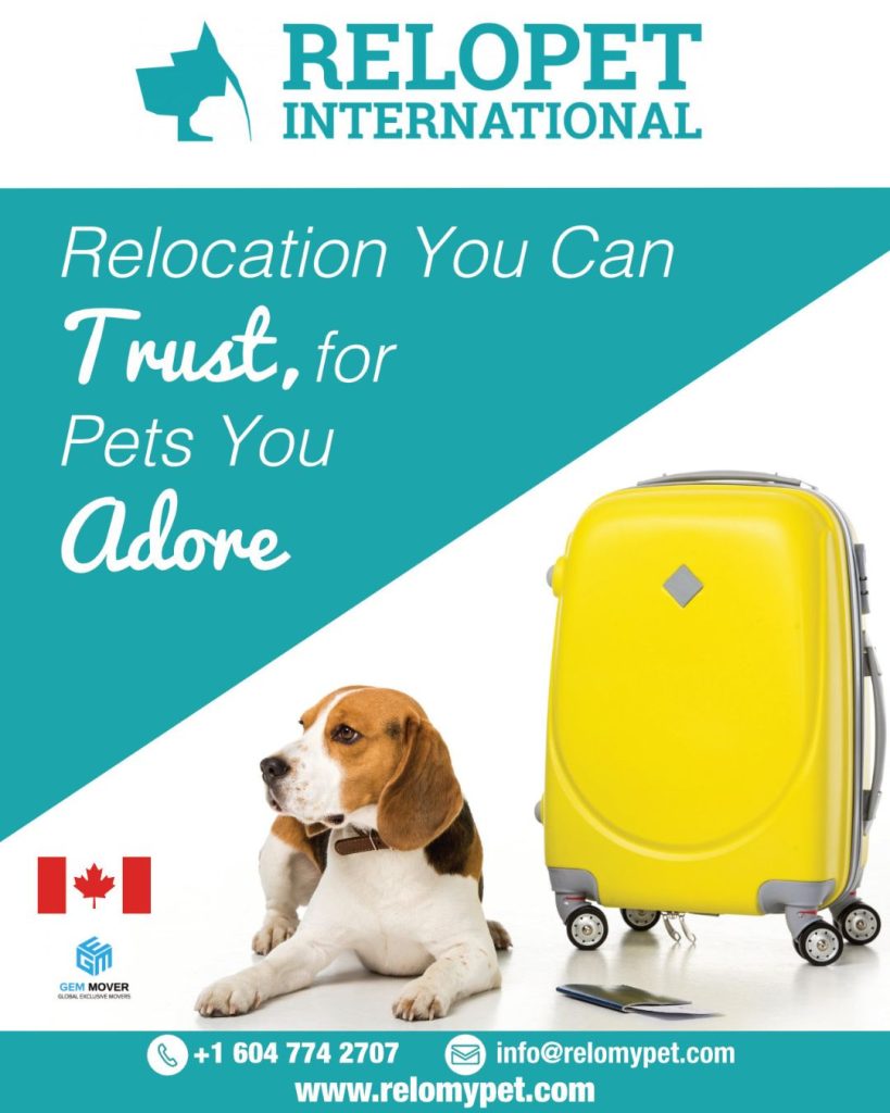 Relopet International - relocation you can trust, for pets you adore